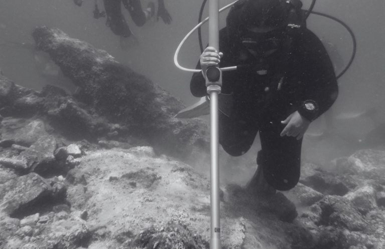 Diver using an Ebinger underwater metal detector to survey the seabed.